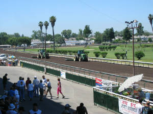 plesanton raceway.jpg
